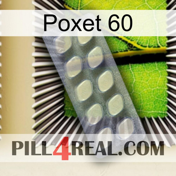 Poxet 60 08.jpg